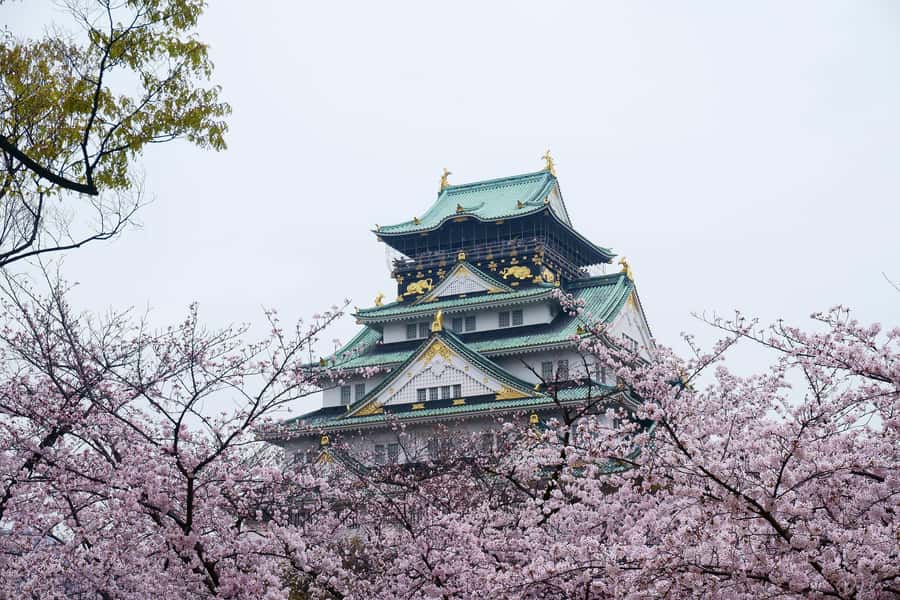 Osaka: Osaka Castle 3 hours Historical Walking Tour - Hokoku Shrine wrap-up: Toyotomi Hideyoshi and a peaceful ending