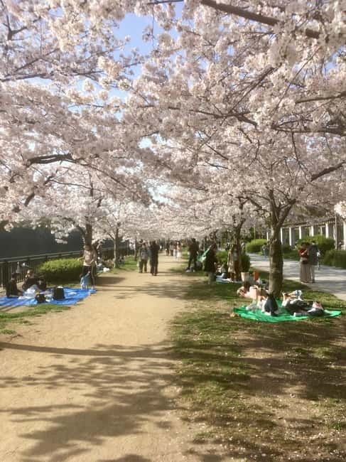Osaka: Private and Fully Customized Tour with Hotel Meet Up - Why the hotel meet-up matters in Osaka