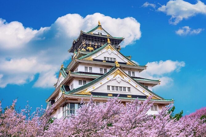 Osaka Private Cherry Blossom Tour with a Local – Picnic Included - Why this Osaka cherry blossom tour feels more local than a checklist