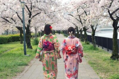 Osaka Private Cherry Blossom Tour with a Local – Picnic Included - The bento-and-sushi picnic: what you get and how to make it feel special