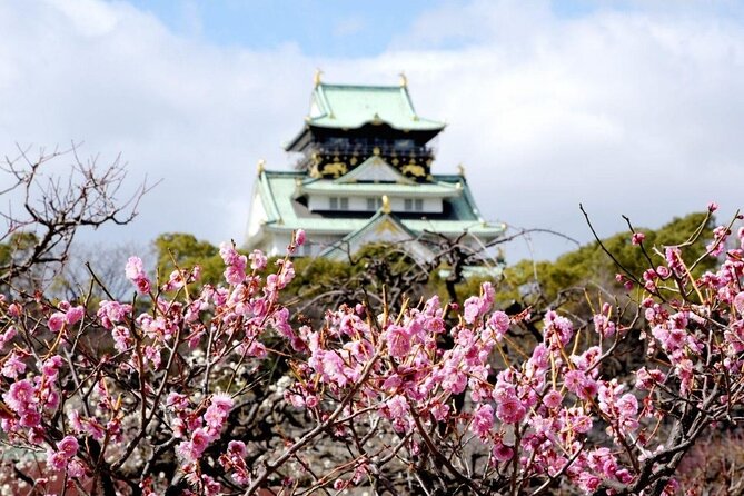 Osaka Private Cherry Blossom Tour with a Local – Picnic Included - A Buddhist temple garden with Four Heavenly Kings vibes