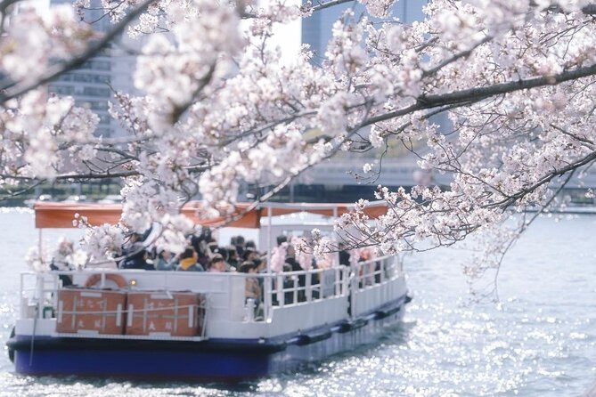 Osaka Private Cherry Blossom Tour with a Local – Picnic Included - Expo ’70 Memorial Park: long cherry-lined paths for real strolling time