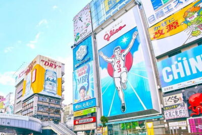 Osaka Private Custom Walking Tour - Osaka Castle and Osaka Castle Park: start with views and context