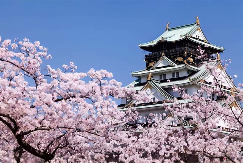 Osaka: Private Customizable Day Tour with Hotel Transfer - Osaka Castle: A Focused Hour for Walking and Photos