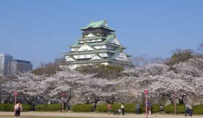 Osaka: Private Customizable Day Tour with Hotel Transfer - Starting Smoothly with Pickup, Waiting, and a Car You Don’t Share