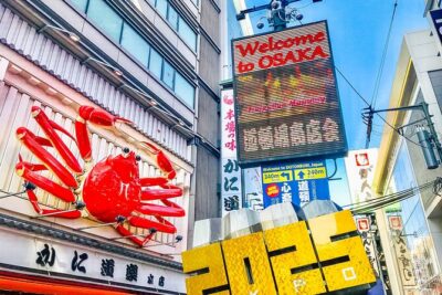 Osaka Private Day Trip - Enjoy Your First-Time Visit to Osaka! - Osaka Castle: Museum Time, Armor, and Kimonos