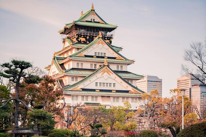Osaka Private Hightlights Tour Customizable & English Driver - Key things I’d actually notice on the ground