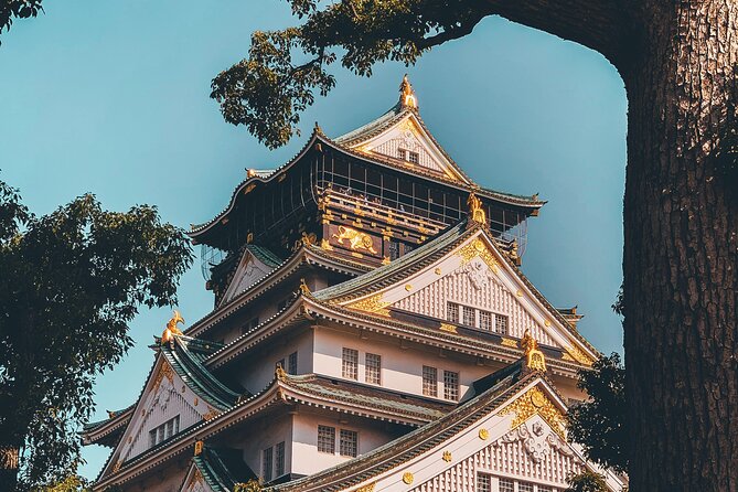 Osaka Private Hightlights Tour Customizable & English Driver - How the 8–10 hour schedule works in real life