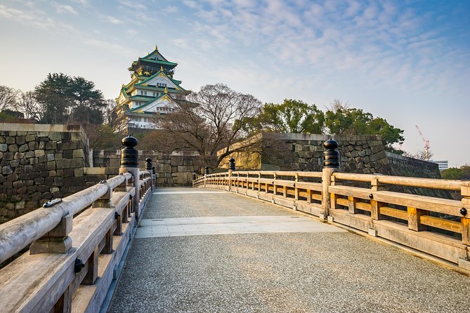 Osaka Private Pop Culture Tour: Historic Tenma to Dotonbori - Who should book this tour (and who might want a different format)