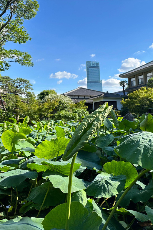 Osaka: Private Tour of Shitennoji, Osaka's Oldest Temple - Who should book this private Shitennoji tour