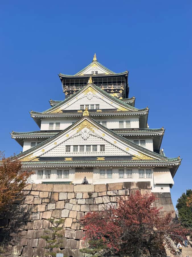 Osaka: Visit the must-see places. - Kuromon Market: the Osaka food stop that actually helps you choose