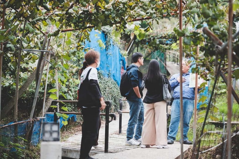 Osaka Winery Tour with Wine Tasting & Vineyard Walk - Small bites with wine: why the food pairing actually helps