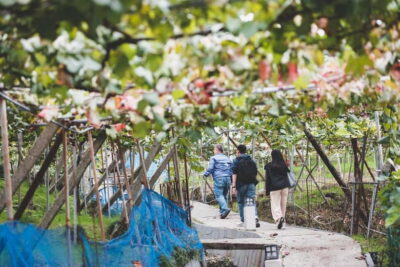 Osaka Winery Tour with Wine Tasting & Vineyard Walk - Meeting up in front of Katashimo: the pace, the goal, and the tradeoff