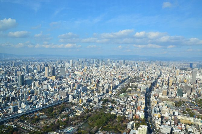 Osaka’s Best and Brightest: Private Full-Day Tour by Vehicle - Kuromon Market: snack mode with a guided plan