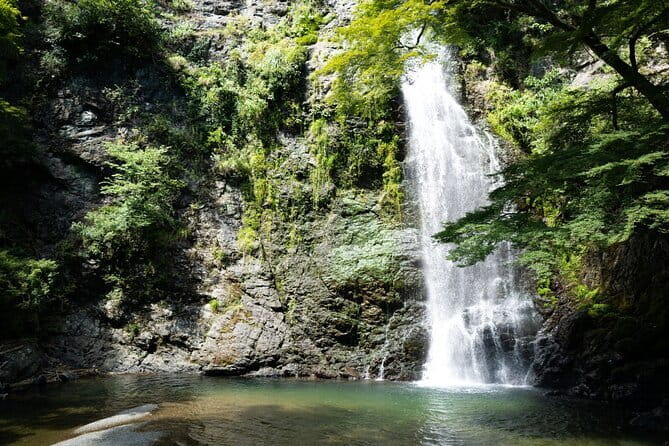 Osaka's Secret Adventures: Daruma Magic and Minoh Falls - Price and value: what $149.58 actually covers