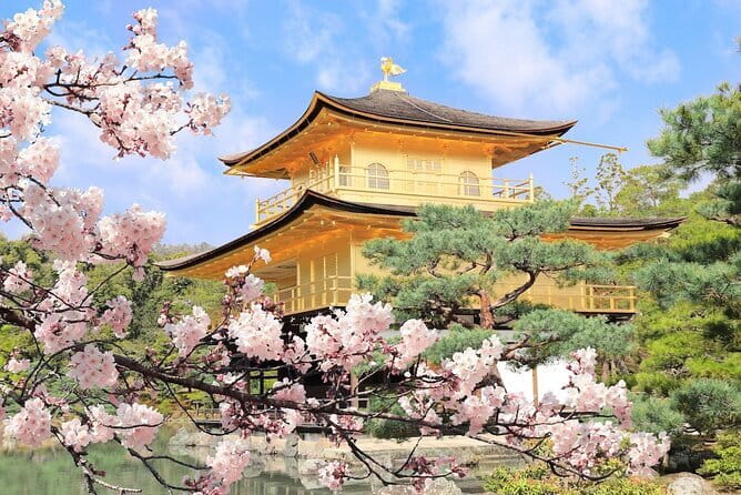 Private Day Tour of Historic Osaka - What Makes the Guidance Matter (And Why It Shows Up Fast)
