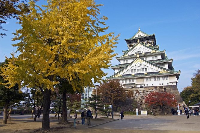 Private Departure Transfer: Osaka City to Osaka Itami Airport - Comfort and luggage: small rules that affect real life