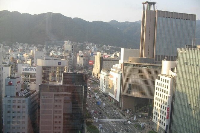 Private Full-Day Guided Tour in the City of Kobe - How the Private Guide and Public Transit Make It Easier