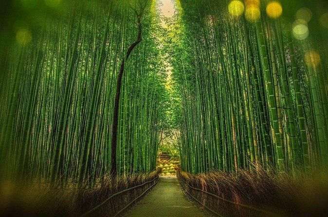 Private Hiace Hire in Kansai Area Osaka English Speaking Driver - Kyoto Highlights: Bamboo Forest Time and Kiyomizu Temple Views