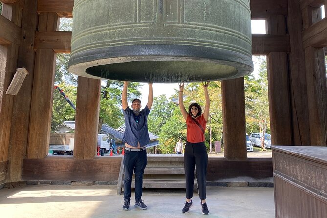Private Nara Tour with Government Licensed Guide & Vehicle (Osaka Departure) - Price and Value for a Private Nara Day From Osaka