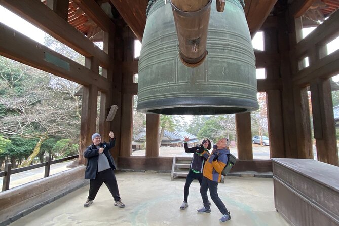 Private Tour to Nara from Osaka with English speaking Driver - Naramachi, Kofuku-ji, Yakushiji, and Shin-Yakushiji: temples meet old town textures