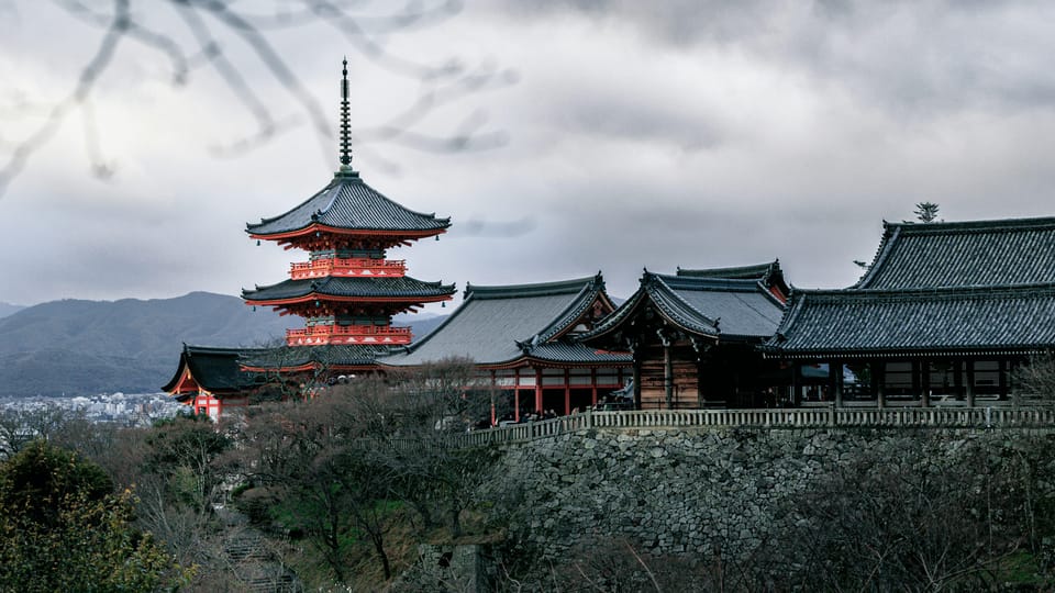 Private tour to Osaka&Kyoto&Nara(Pickup location selectable) - Your Driver Role: Convenience Plus Suggestions, Not a Full Guide