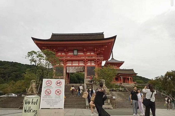 Private Transfer Between Kyoto and Kansai Airport KIX - Who this transfer suits best in Kyoto