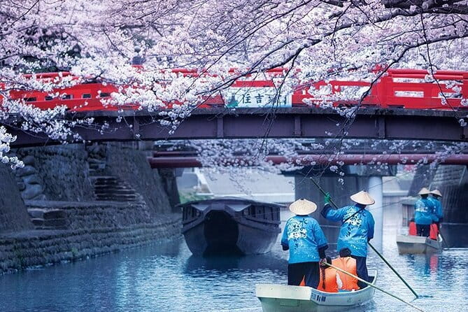 Sakura Magic and Nabana No Sato Day Tour From Osaka - Key things to know before you go