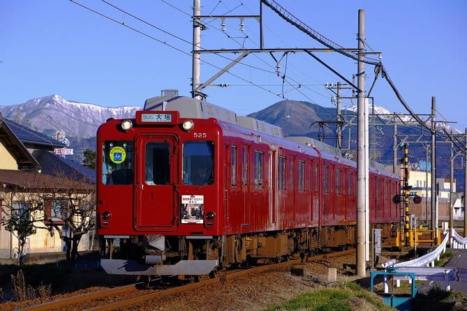 Sakura Magic and Nabana No Sato Day Tour From Osaka - Getting to the bus: comfortable ride, real timing rules