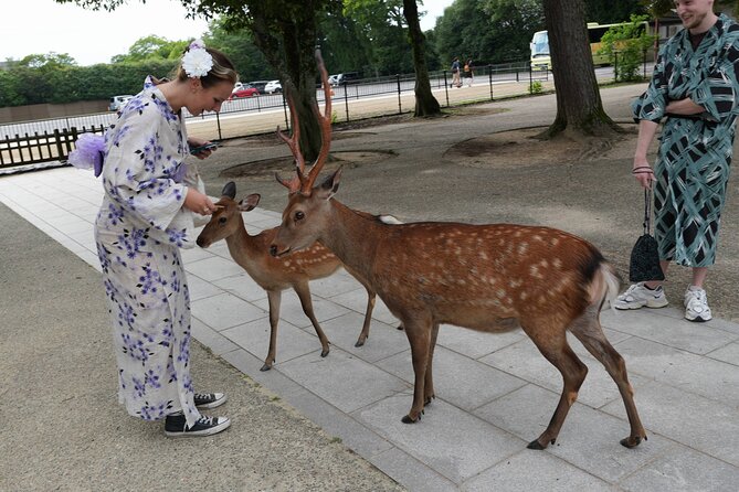 Shore Excursion: Full Day Private Nara Tour from Osaka /Kobe port - Key highlights for cruise travelers