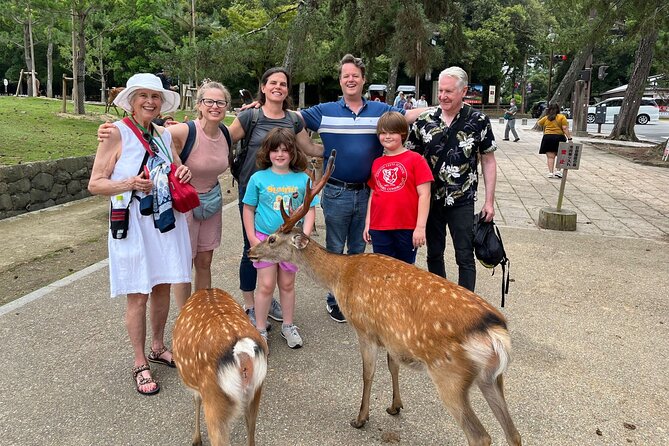 Shore Excursion: Full Day Private Nara Tour from Osaka /Kobe port - Nara Deer Park: the quickest way to feel like you’re in the story