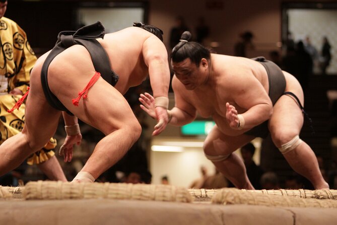 Sumo Wrestling Tournament Chair Seats & Expert Guide | Osaka Mar - Front-Row Sumo Seats at Edion Arena Osaka