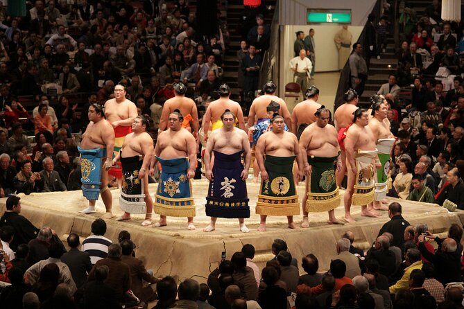 Sumo Wrestling Tournament Chair Seats & Expert Guide | Osaka Mar - Meeting Your Guide and Getting Oriented Fast
