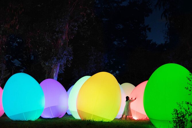 TeamLab Botanical Garden Osaka Ticket - Paths, forest glow, and interactive light that follows you