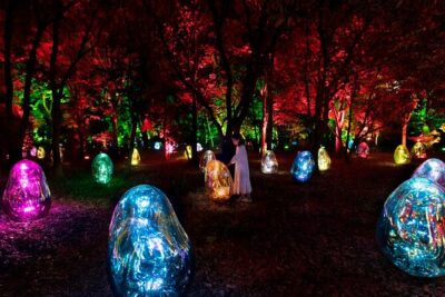 TeamLab Botanical Garden Osaka Ticket - Oike Lake floating lamps and the sound-synced moment