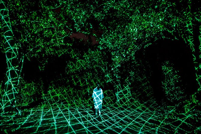 TeamLab Botanical Garden Osaka Ticket - Price and value: what $28 buys you (and what it doesn’t)