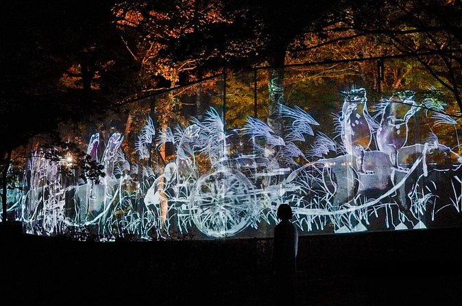 TeamLab Botanical Garden Osaka Ticket - Timing, lines, and how to get in without losing your night